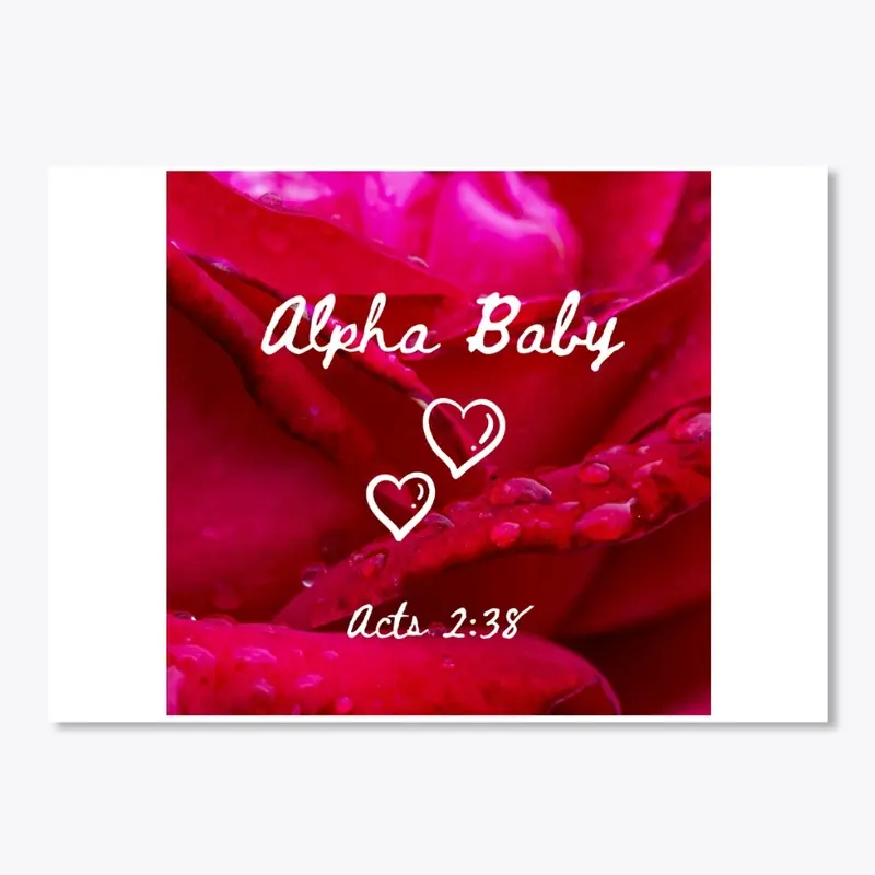 Alpha Baby  The Rose Collection